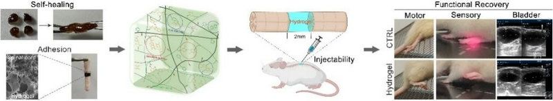 E43422DCB6C60668F468F9305B6_13740820_6450