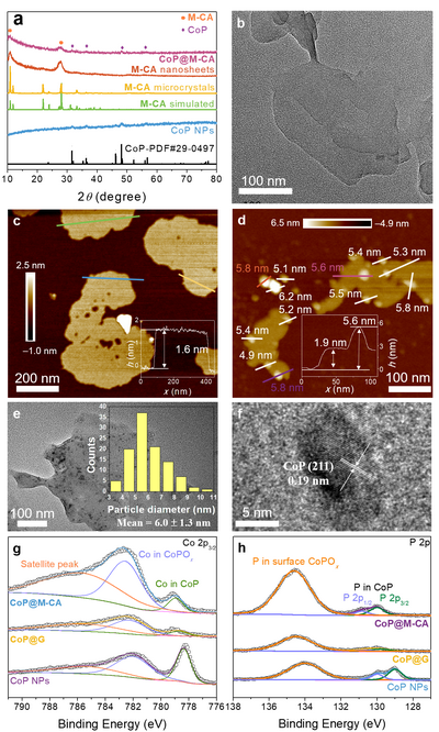 ��ҳ|ng������Ϸ�й����Źٷ���վ