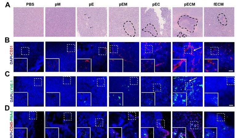 ��ҳ|ng������Ϸ�й����Źٷ���վ