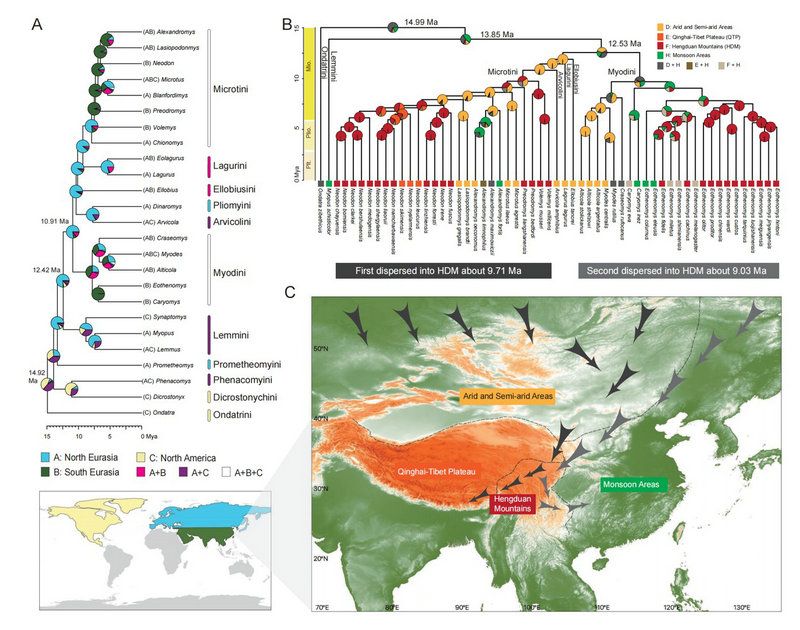F8724899FA1AE5524A5B899E337_7E78848F_1AE81 F8724899FA1AE5524A5B899E337_7E78848F_1AE81