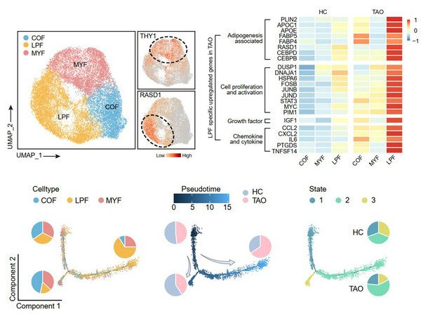 D70E9223035F774737A1C4E0E07_0C879FBD_B3C9