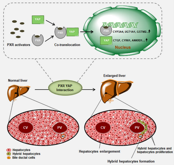 ��ҳ|ng������Ϸ�й����Źٷ���վ