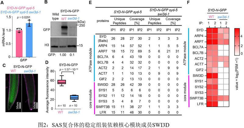 FC9646EFFBB66C49F38819B4936_A11A70E7_11B51