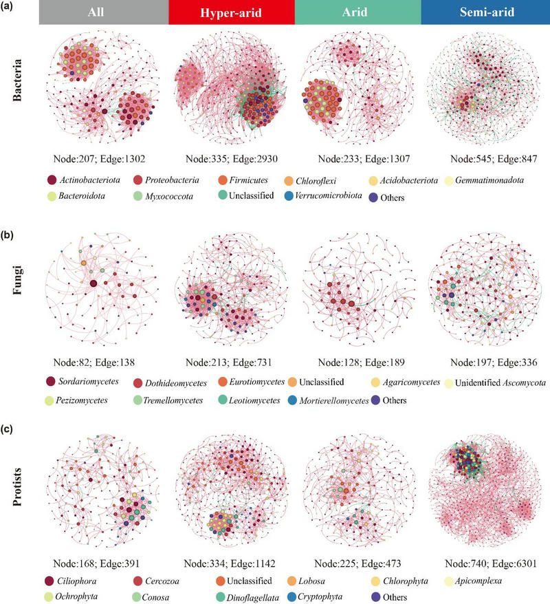 BF8F07262E87F88364D9901A147_E249F7B4_24627