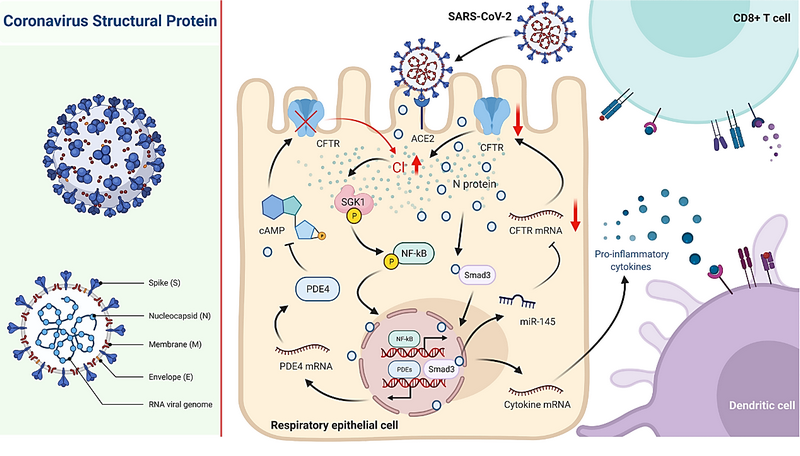 C97F555C344709764EC0B9C4402_E51123FA_4845F