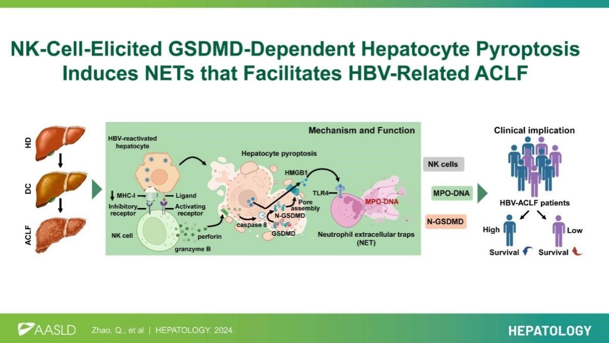 80A891114A7589FFF848C063175_45E78DB0_14F72