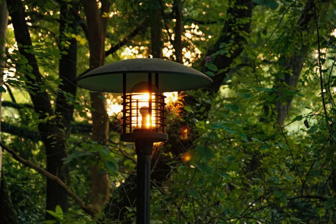 89A9B3F31CBC84D4F7D8CBFF3D2_8BFAE407_22DA8 ͼƬ