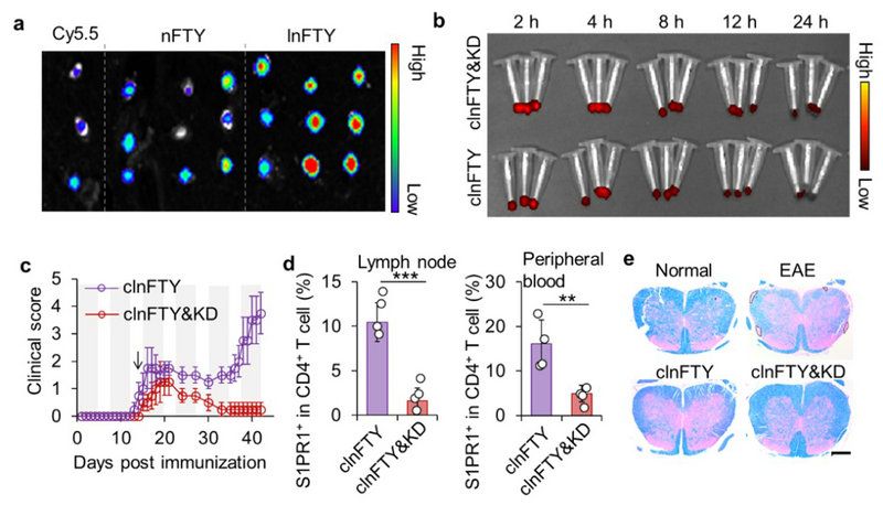 9AB3D68C0AD2E0135E2CED67629_C5FB5009_1090E 9AB3D68C0AD2E0135E2CED67629_C5FB5009_1090E