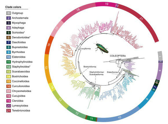 ��ҳ|ng������Ϸ�й����Źٷ���վ