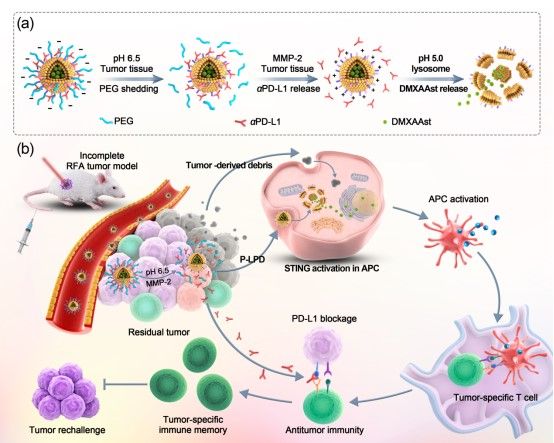 ��ҳ|ng������Ϸ�й����Źٷ���վ