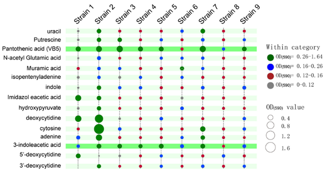 ��ҳ|ng������Ϸ�й����Źٷ���վ