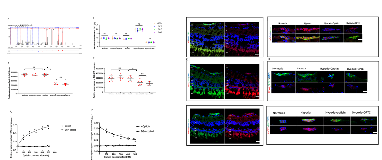 ��ҳ|ng������Ϸ�й����Źٷ���վ
