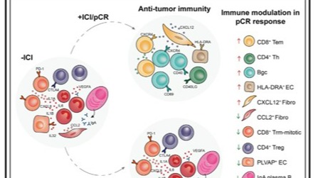 ��ҳ|ng������Ϸ�й����Źٷ���վ