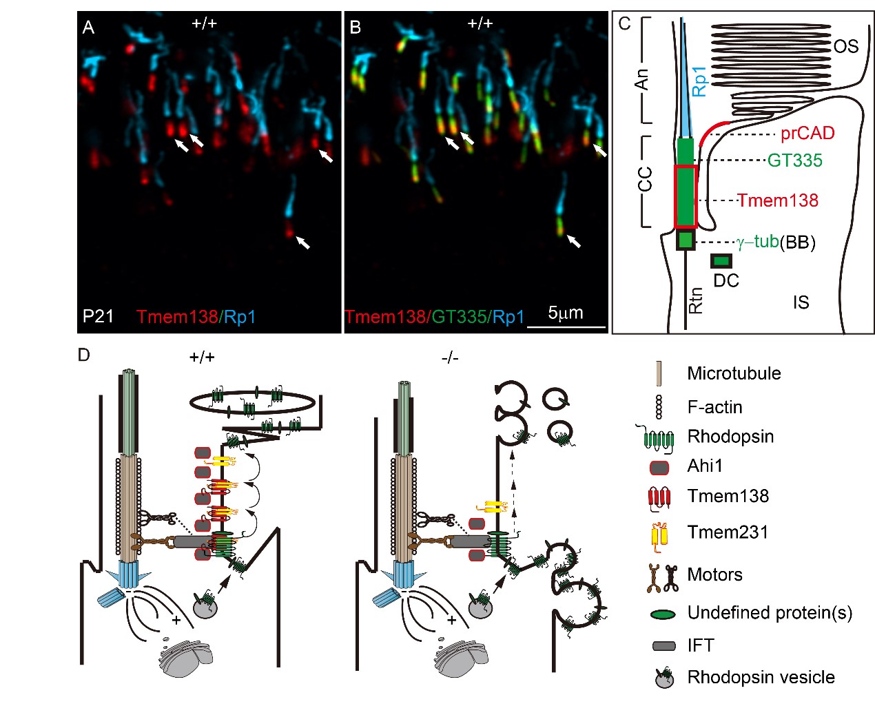 ��ҳ|ng������Ϸ�й����Źٷ���վ