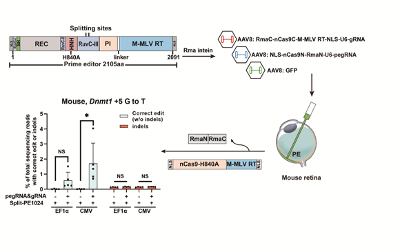 ��ҳ|ng������Ϸ�й����Źٷ���վ