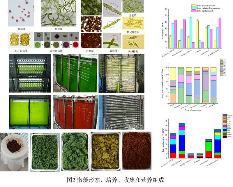 1239A6D7E21EC06BC2746A67614_FC494A2F_1E232 1239A6D7E21EC06BC2746A67614_FC494A2F_1E232
