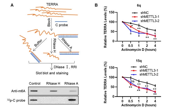 3B98A6C82822296E151ECFE1128_D0054788_1AA20