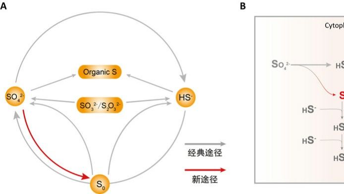 ��ҳ|ng������Ϸ�й����Źٷ���վ