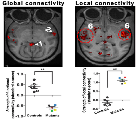 ��ҳ|ng������Ϸ�й����Źٷ���վ