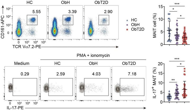 72B0004A99B3CDDAA074D717055_5EDAFD64_FD30