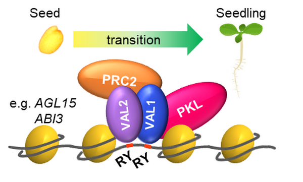 4AD954446D2229FC1D4372C2C89_99AFCA7F_2A62F