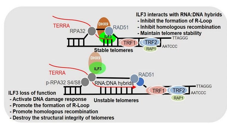 ��ҳ|ng������Ϸ�й����Źٷ���վ