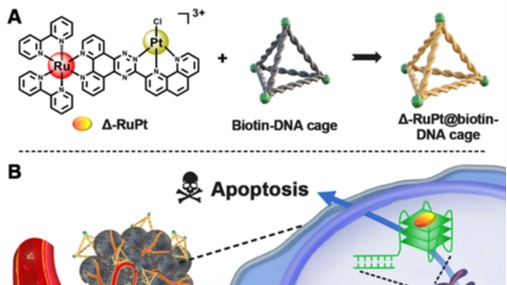 ��ҳ|ng������Ϸ�й����Źٷ���վ