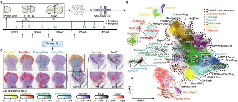 45B42EEA750A30A0496D1C6E8C3_632DCF70_12700