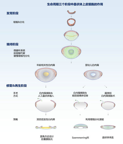 8980E4222144C91DDDD6808FBC7_9363523E_9269