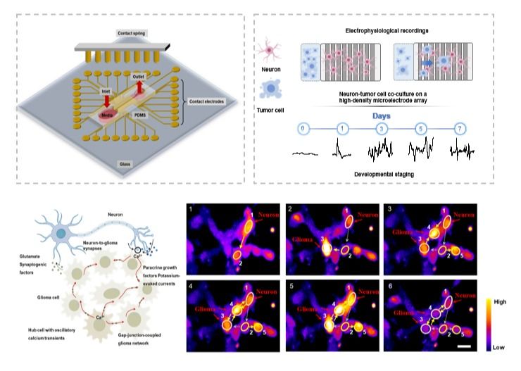 ��ҳ|ng������Ϸ�й����Źٷ���վ