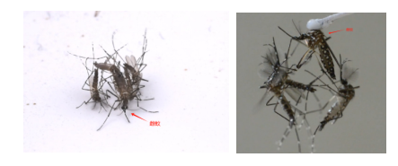 B90CC5D5578DCB7896464F93EBA_D34AD2A8_1A1A1