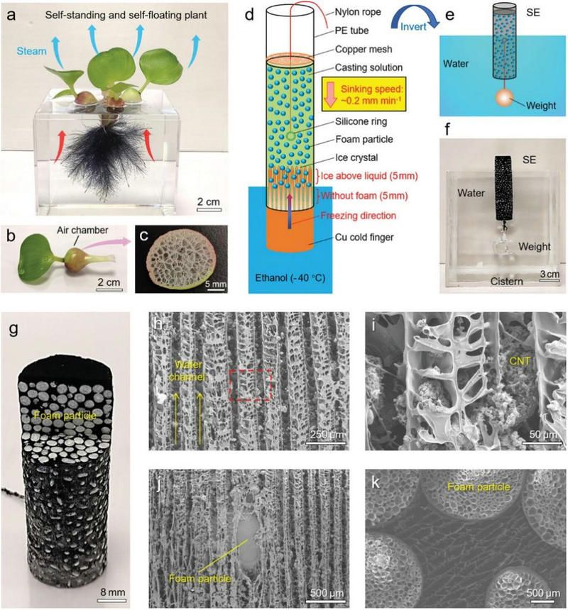 21969597D3192C69D7F2B0B6569_8A948F0C_20FDC