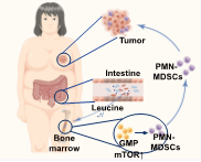 B69D112D82F76A603F371DE2141_D93DAE01_6781