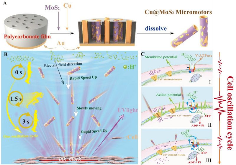 8225D889F04A68811F878387E53_45B56F9E_12A26