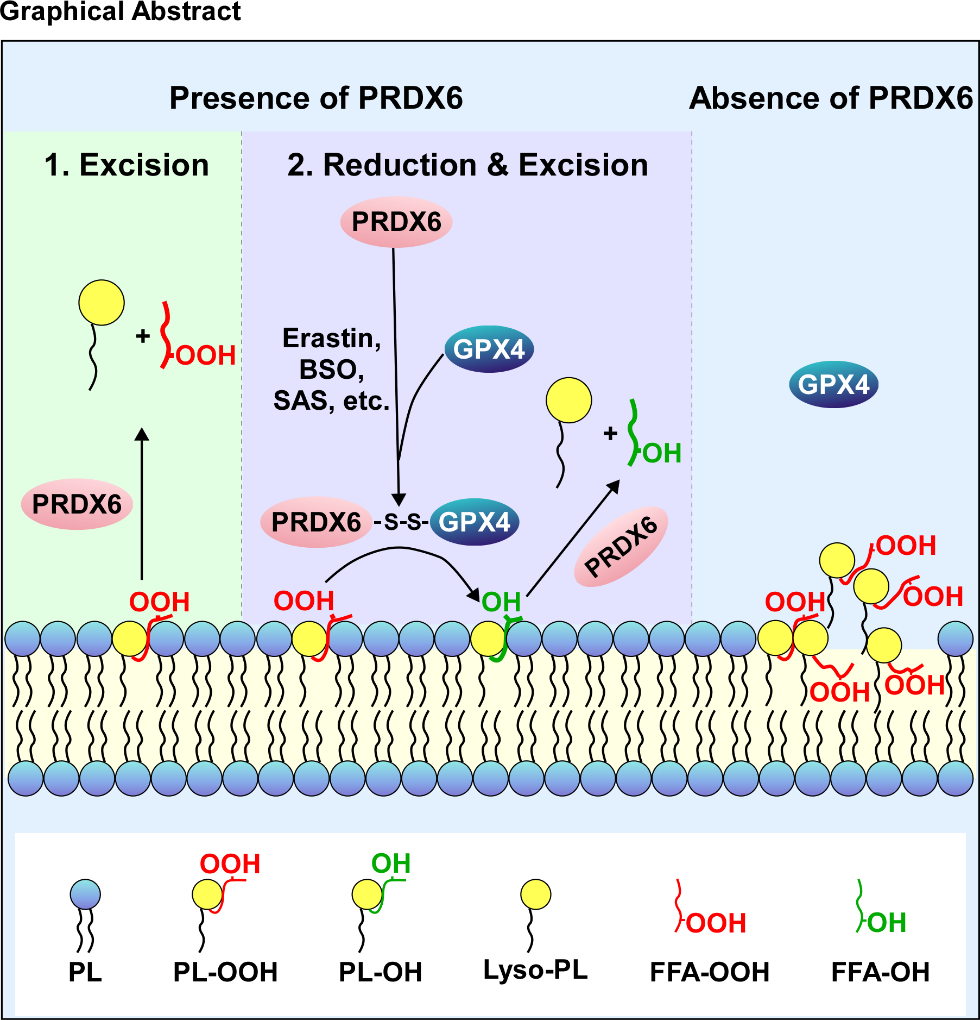 ��ҳ|ng������Ϸ�й����Źٷ���վ