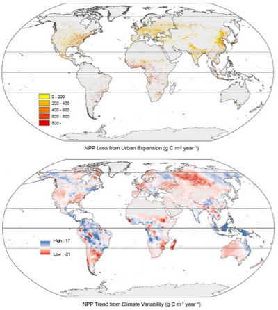 ��ҳ|ng������Ϸ�й����Źٷ���վ
