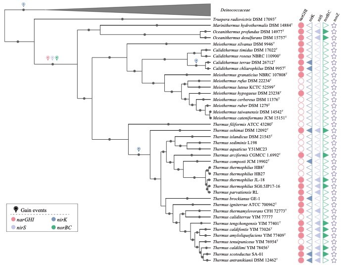 ��ҳ|ng������Ϸ�й����Źٷ���վ
