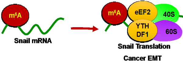 ��ҳ|ng������Ϸ�й����Źٷ���վ