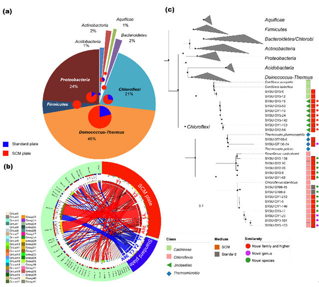 ��ҳ|ng������Ϸ�й����Źٷ���վ