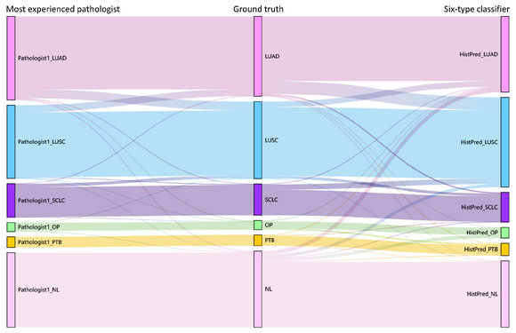 ��ҳ|ng������Ϸ�й����Źٷ���վ