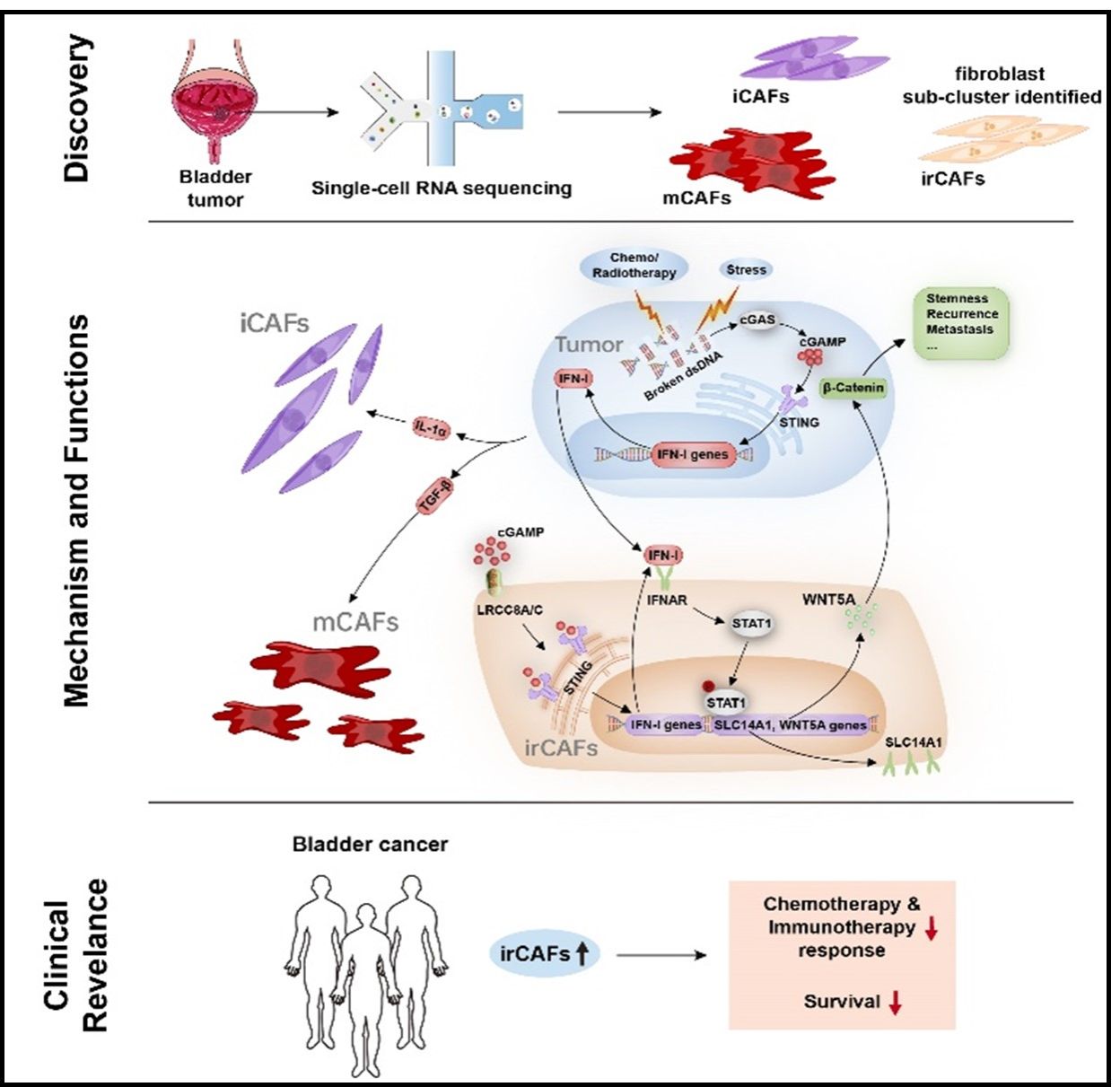 474824E5DE4F66C9B818FB57DFE_39B231CD_219D6