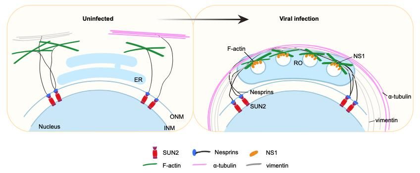 6563E01B3FB9E664D6102F8F2C0_92A7D391_894F 6563E01B3FB9E664D6102F8F2C0_92A7D391_894F
