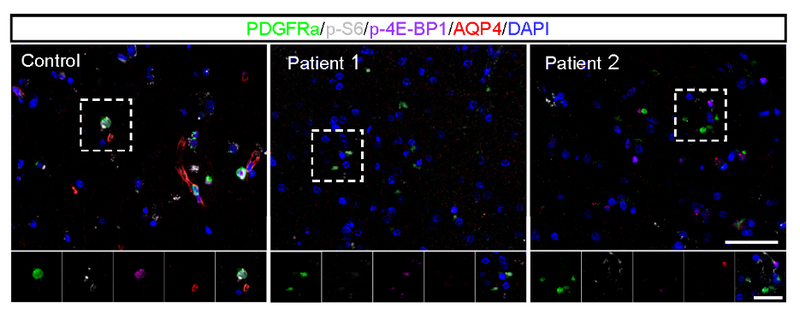 607BDB1EAEBEEEF7C6A2FB53940_AA6D1B37_33634 607BDB1EAEBEEEF7C6A2FB53940_AA6D1B37_33634