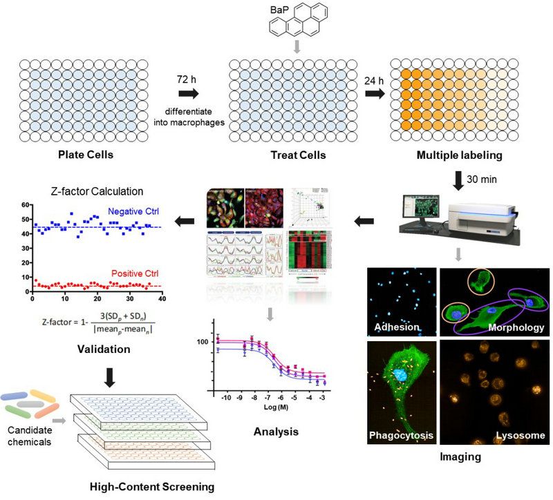 0EB64C846C3F9200C4F42E07BD7_1B91B4C7_1A323