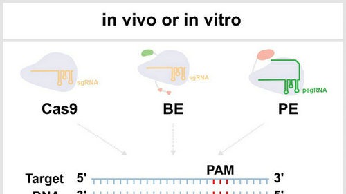 ��ҳ|ng������Ϸ�й����Źٷ���վ