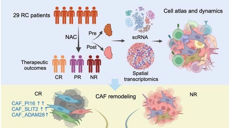 ��ҳ|ng������Ϸ�й����Źٷ���վ