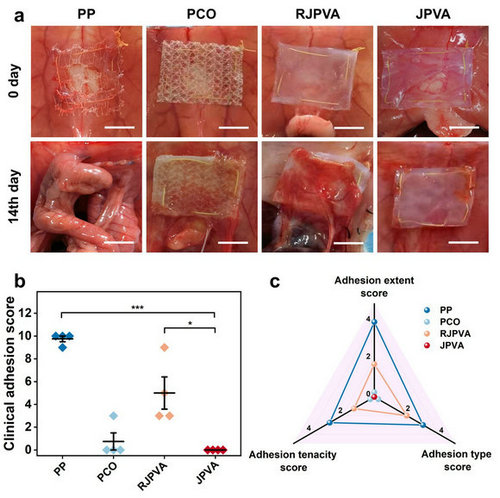��ҳ|ng������Ϸ�й����Źٷ���վ