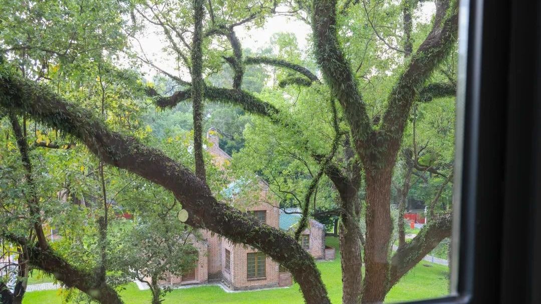 ��ҳ|ng������Ϸ�й����Źٷ���վ