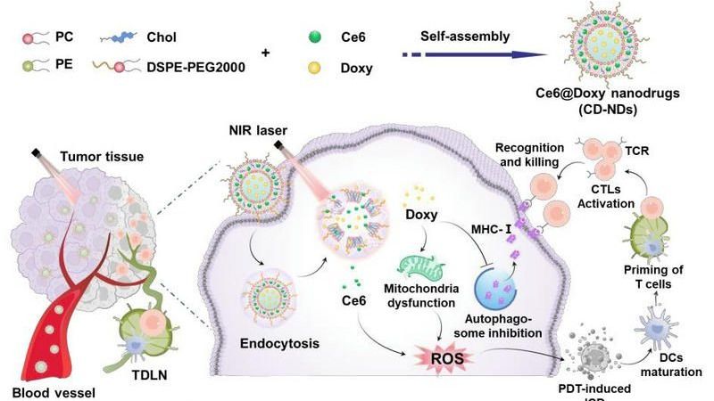 ��ҳ|ng������Ϸ�й����Źٷ���վ