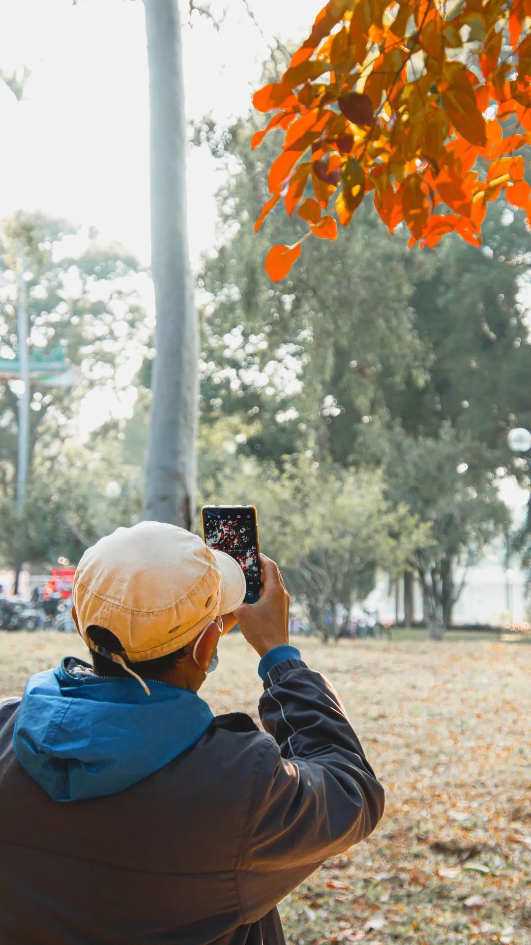 20BFB53CA3CEF60E07171B1BBE1_66E3BA08_3AD8D ͼƬ